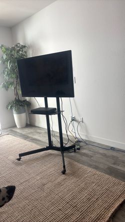 Flat Screen TV on Rolling Floor Stand Sun Brite