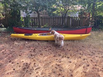 Kayak 13’ Necky