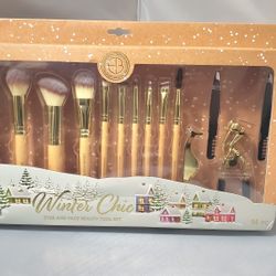 10-piece Pro Makeup brush set + more