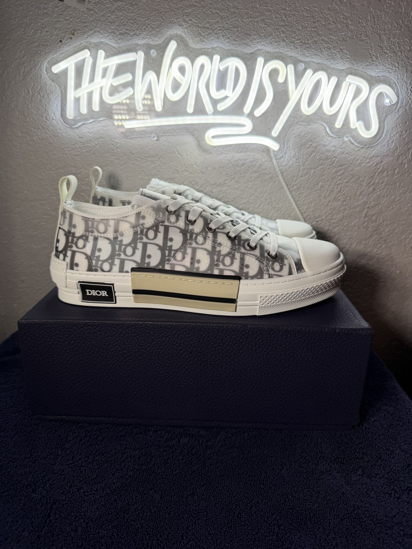 Low Top Luxury Converse Size 12