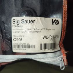 IWB P238 Equinox Sig Holster 