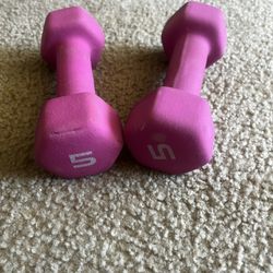 Set of 5 pound weights 