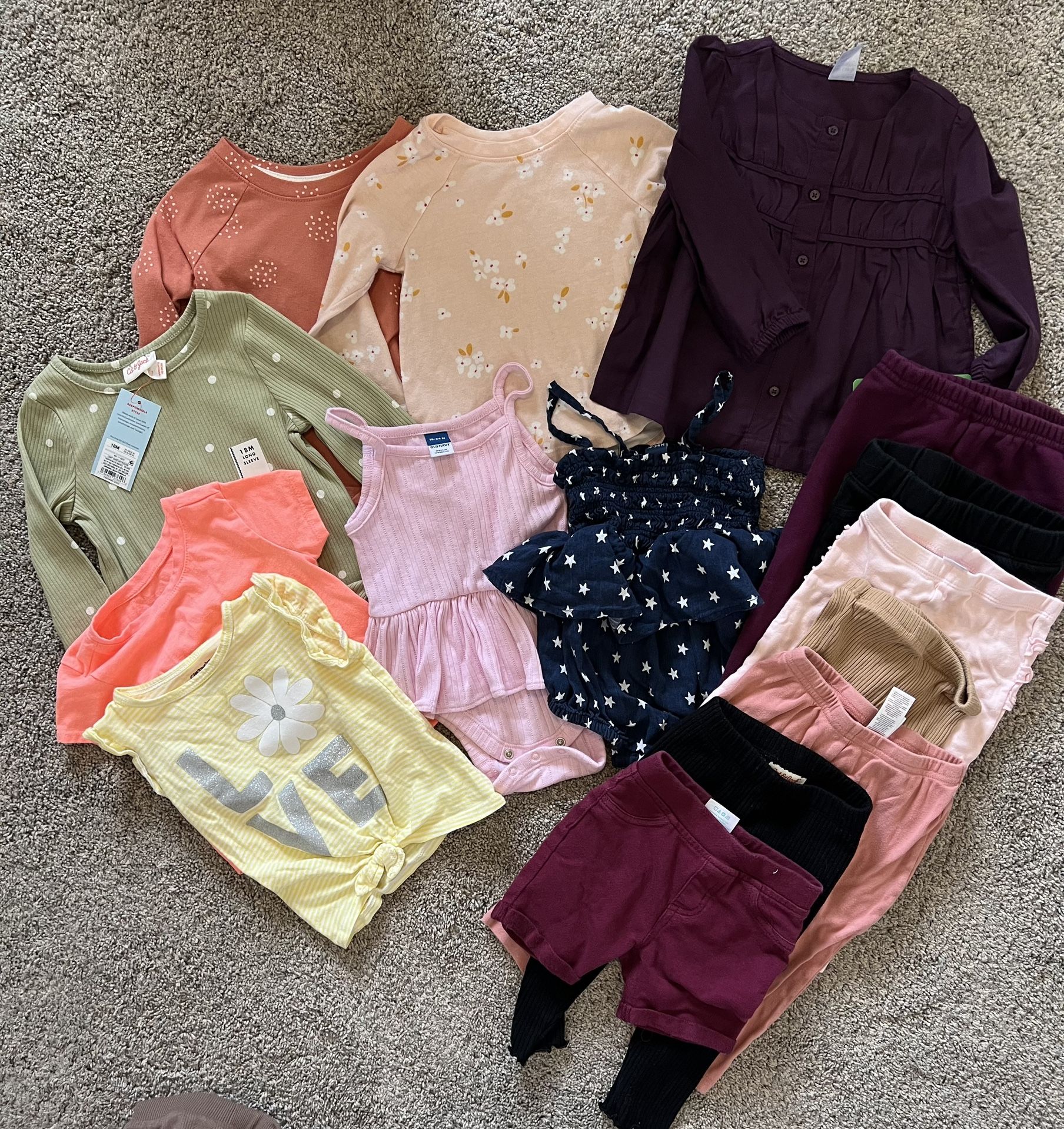 Baby Girl 18 Month Bundle