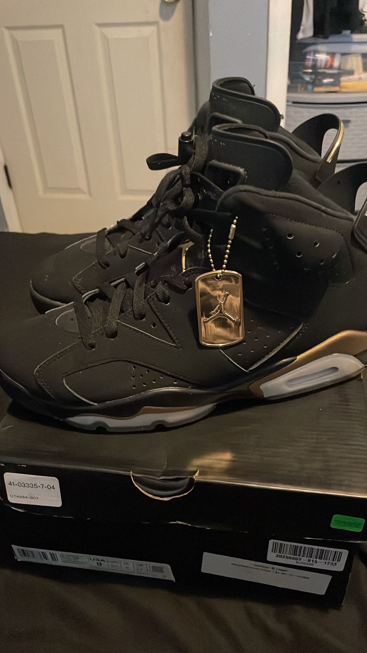 Jordan Retro 6s