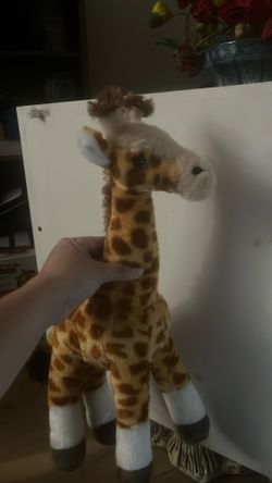 Giraffe 