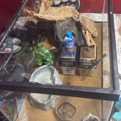 Reptilian Tank