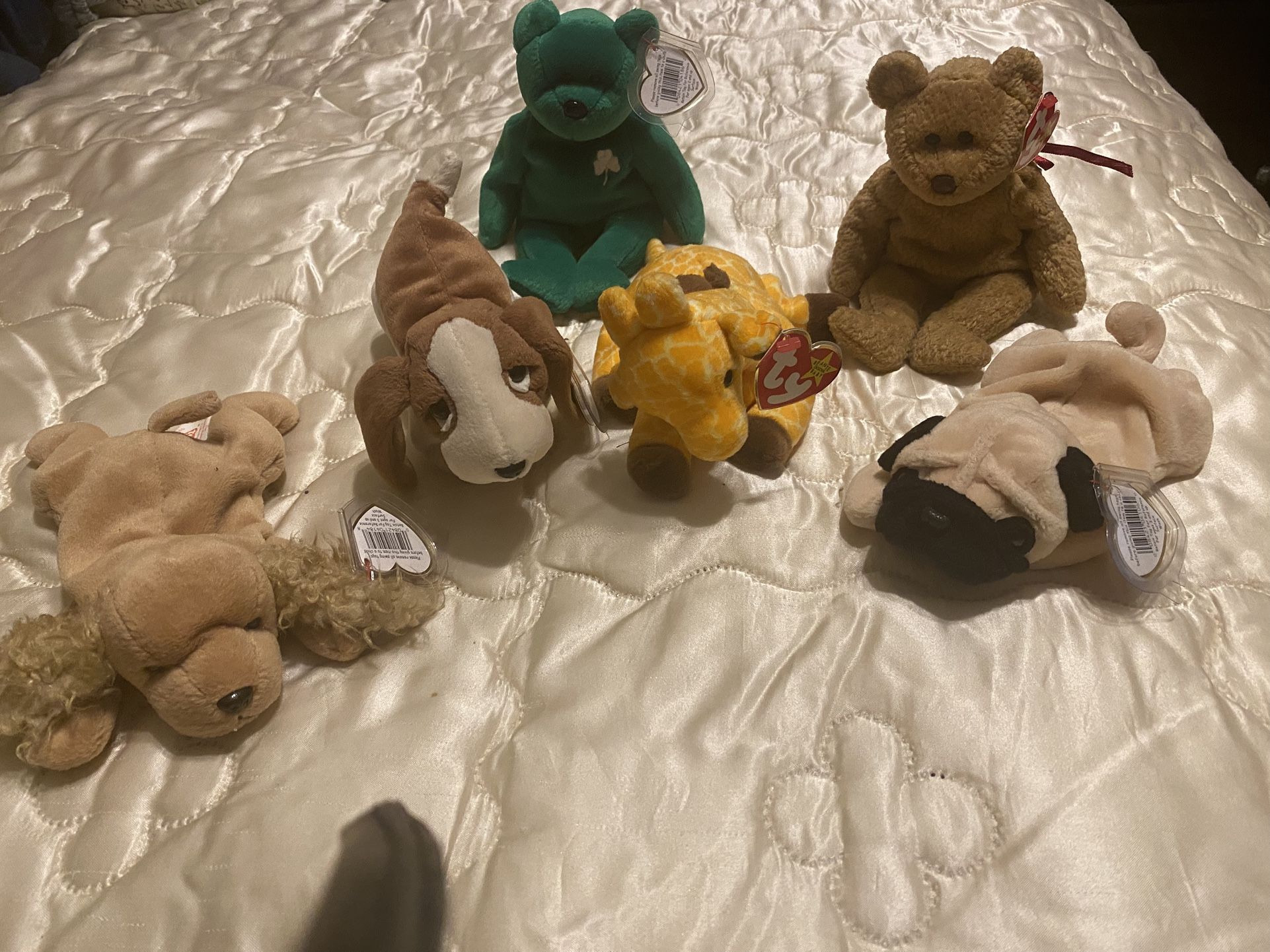 Nice Collection Of Beanie Babies