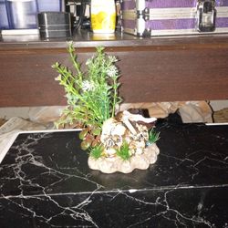 Aquarium Decor
