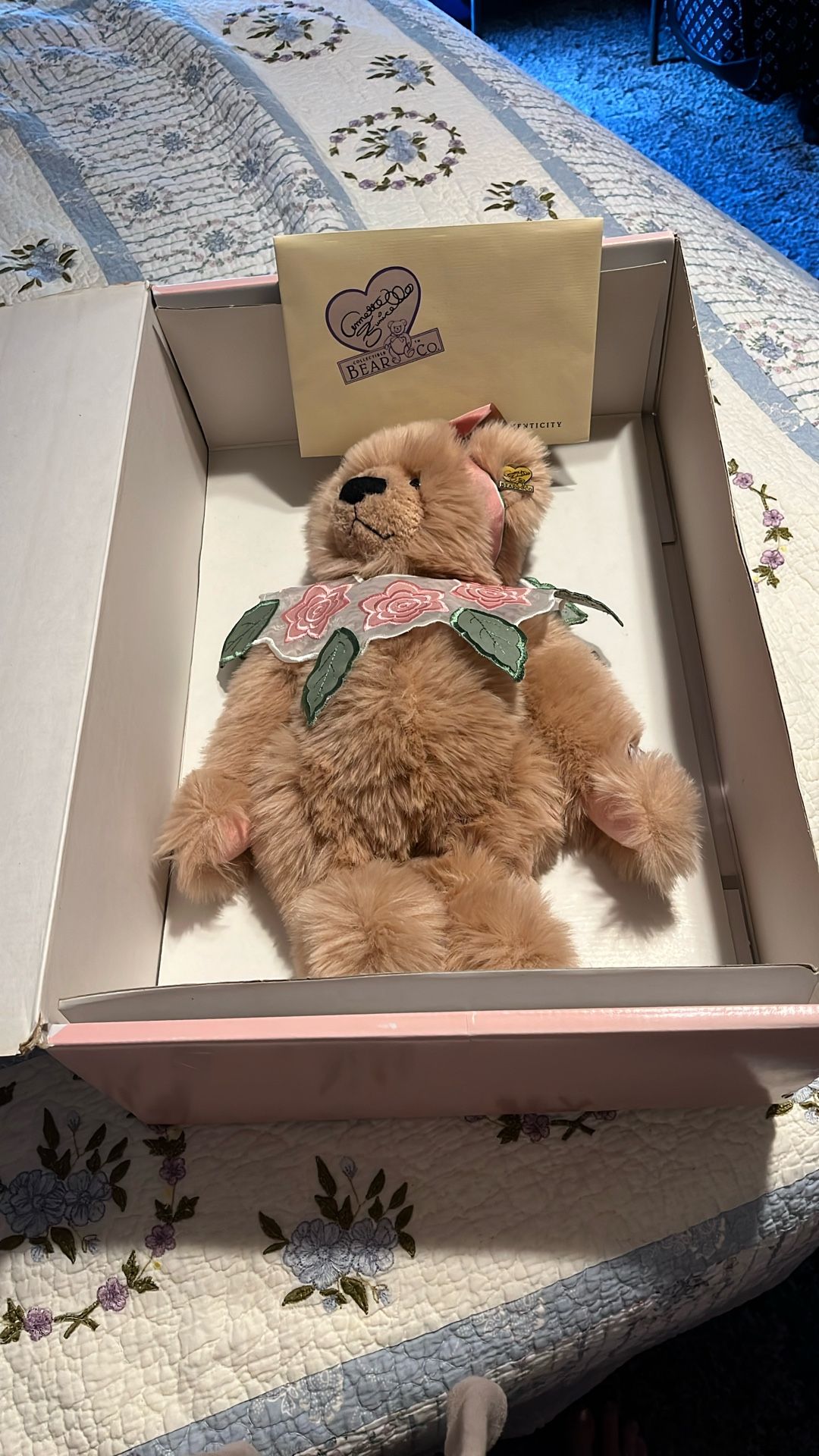 Bear In Box