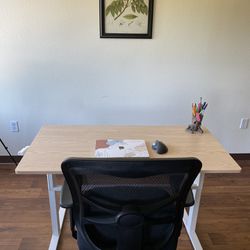 Adjustable Standing Desk & Office Chair 