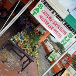 5/18,5/19, Selection At Jason's Local Garden Located In New River Grove In Davie 