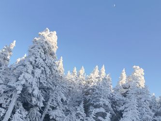 Ski Lift Ticket Vouchers 2for1 BOGO Whitetail Liberty Roundtop Jay Smuggs Hunter Ski Lift Ticket Snowshoe Whitetail Liberty Roundtop Jay