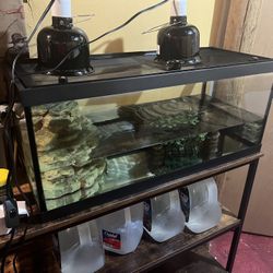 Reptile/Turtle Tank, Never Been Used.