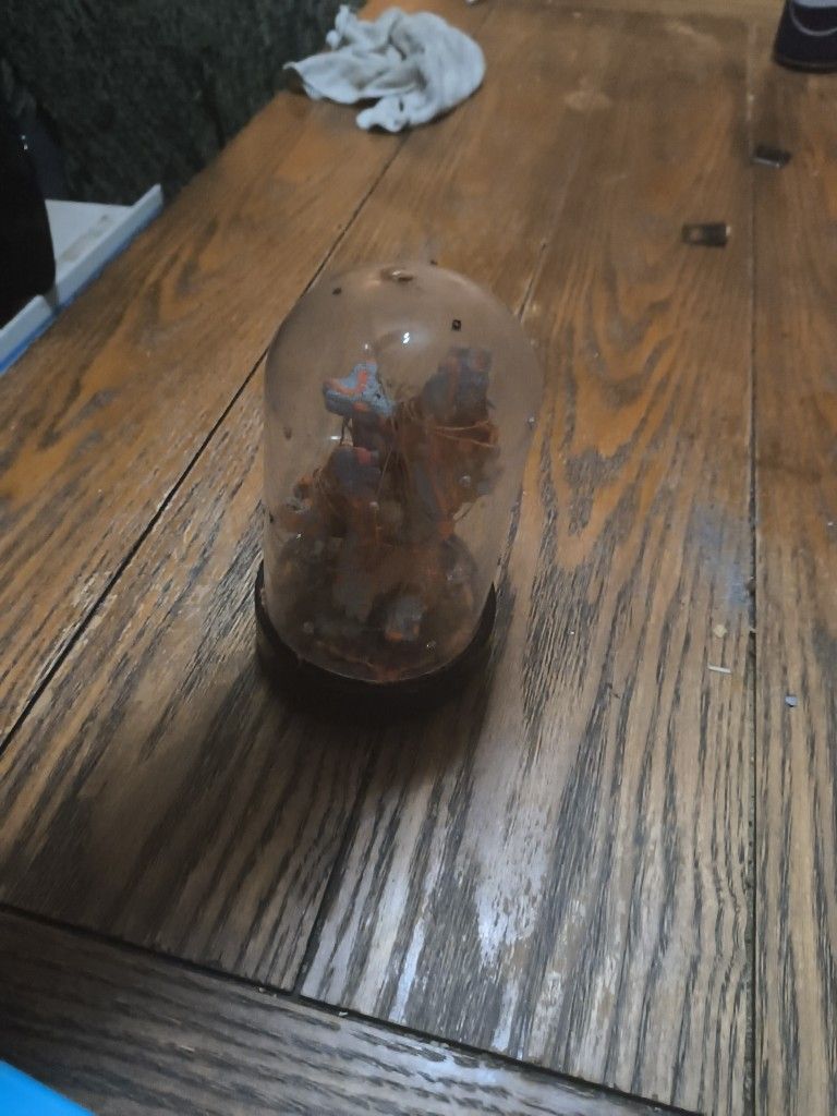 Handmade Baby Spider Sling Enclosure