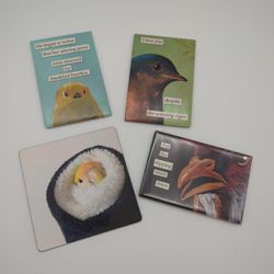 Funny Bird Magnets