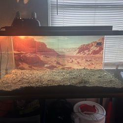 40 gallon tank