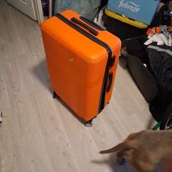 Luggage Orange