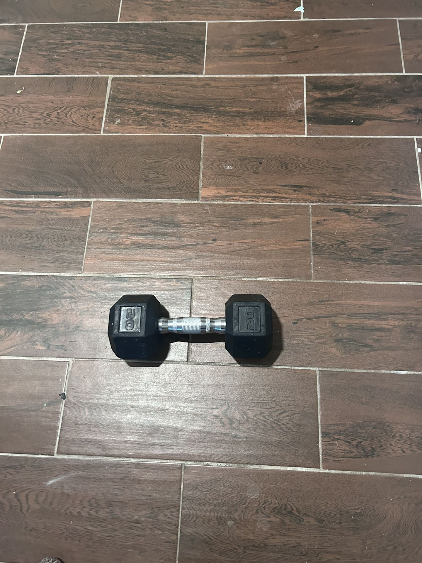 20lb Dumbbell