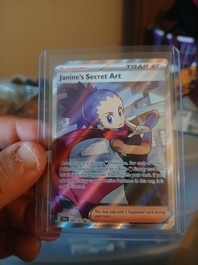 Janine's Secret Art Illustration Trainer