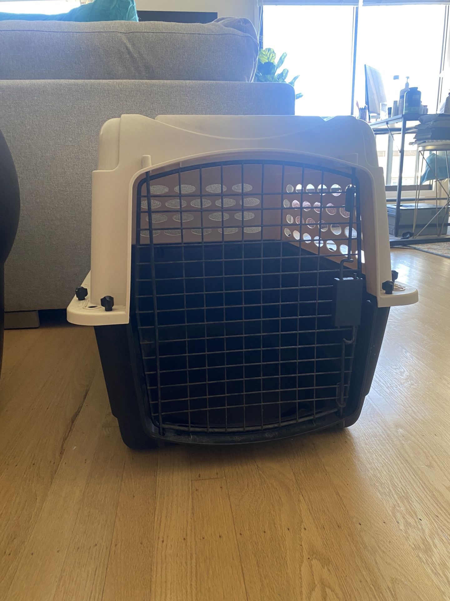 Medium Dog/Cat Kennel Carrier