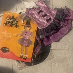 Baby Girls /toddler Costume 12/18 Months 