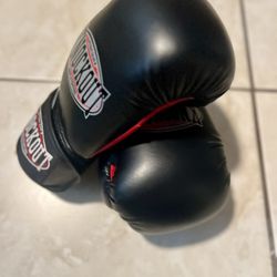 Boxing Gloves 4-6-8 0z 