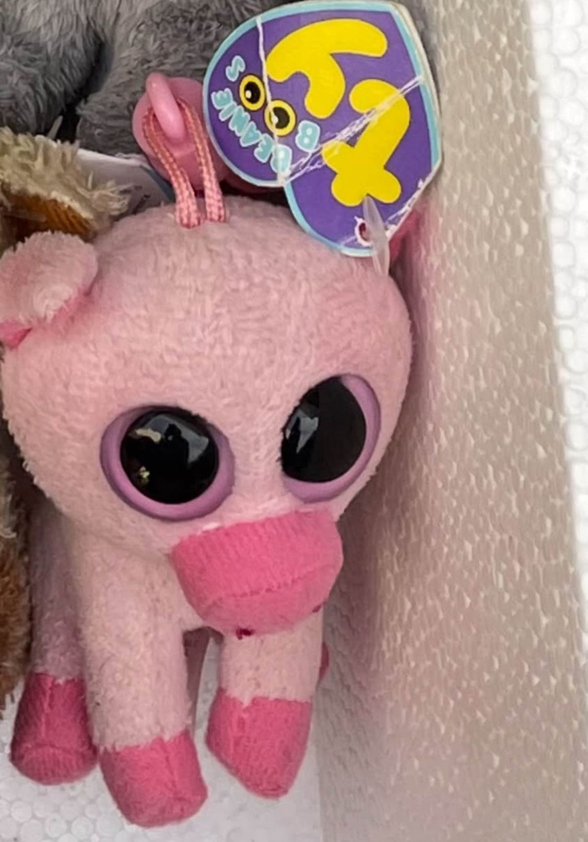 Corky Pig Beanie Boo