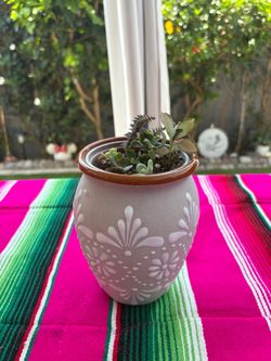 Mexican Talavera Clay Pot with Succulents