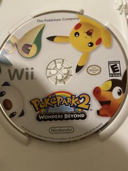 Pokémon video game