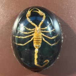 Vintage Paper Weight- Scorpion 