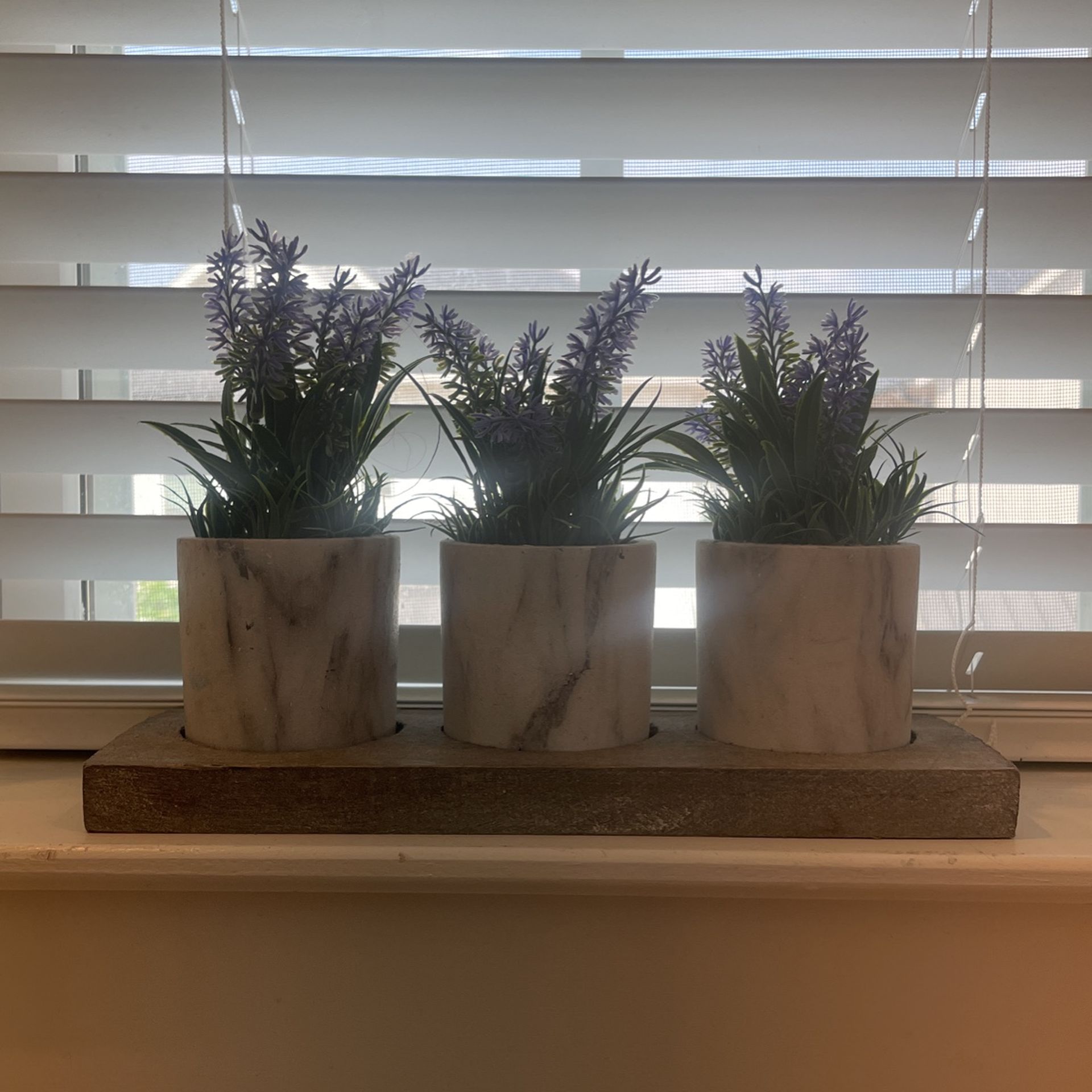 Purple Lavender Flowers 