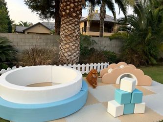 Ball pit and Bridge