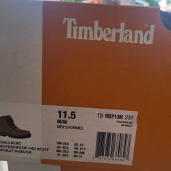 Timberland 