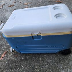 Igloo Cooler With Wheels