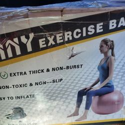 Exercise Balls