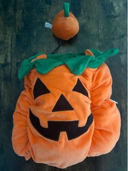 Dog Pumpkin Costume - Size Large