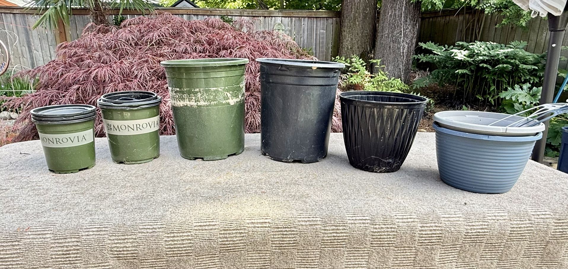 FREE Plastic Planting Pots