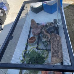 Bearded Dragon Set Up