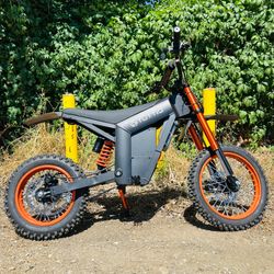 Electric bike