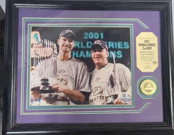 2001 Arizona Diamdbacks Co-MVP