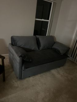 Pull Out Couch Bed 