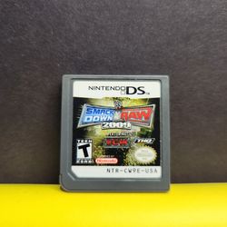 NINTENDO DS SMACKDOWN RAW 2009