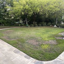 Gardens