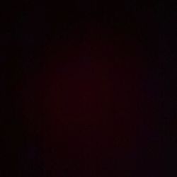 Fake Rubber Reptiles