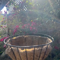 Cocoa Metal Hanging Baskets