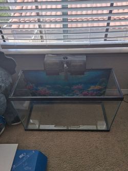 Fish Tank Starter Set