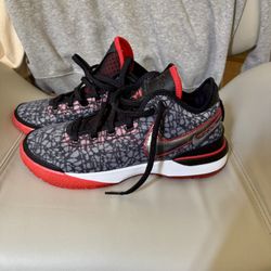 Brand New, Size 10, Never Had A Human Foot Inside 