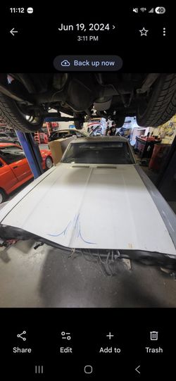 1969 Chevelle/El Camino base hood