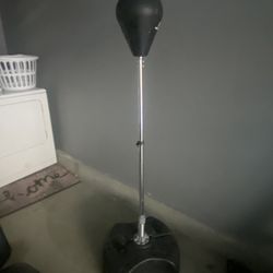 Boxing Gym With Gloves ( Kids Size)