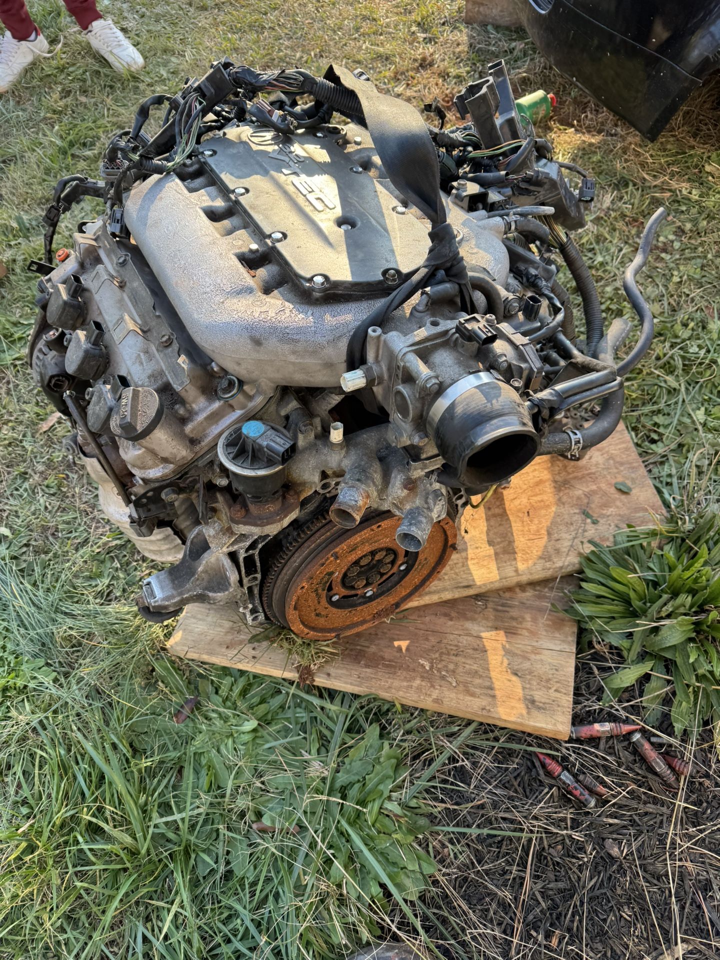 2006 Acura TL